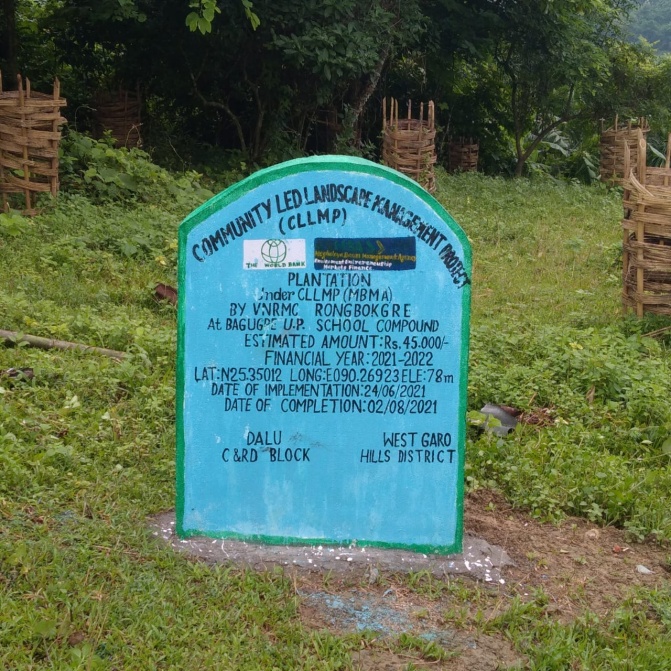C:\Users\user\Downloads\Viilage insection photo\Dalu Block\Rongbokgre\plantation school compound.jpg